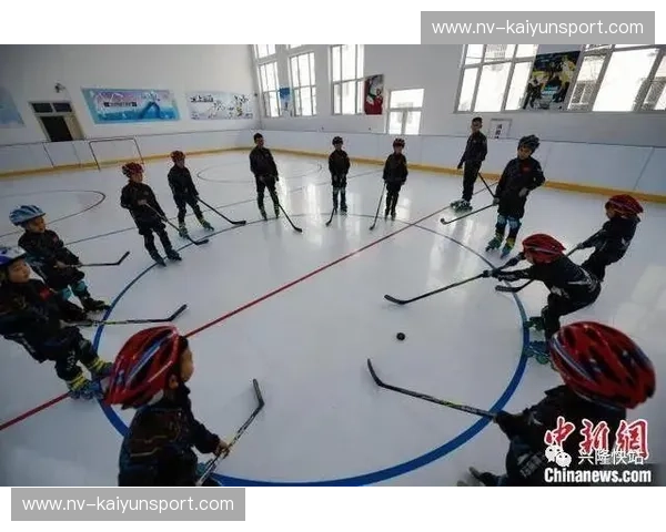 冰球门票——点燃冬日激情的观赛秘诀